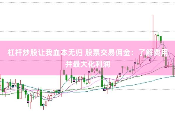 杠杆炒股让我血本无归 股票交易佣金：了解费用并最大化利润