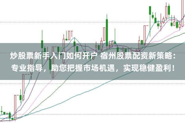 炒股票新手入门如何开户 宿州股票配资新策略：专业指导，助您把握市场机遇，实现稳健盈利！