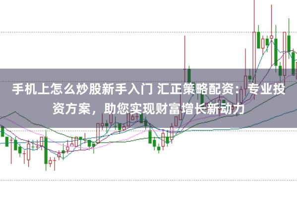 手机上怎么炒股新手入门 汇正策略配资：专业投资方案，助您实现财富增长新动力