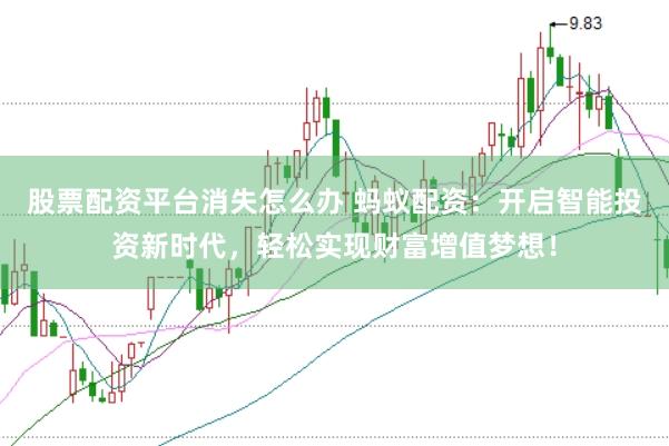 股票配资平台消失怎么办 蚂蚁配资：开启智能投资新时代，轻松实现财富增值梦想！