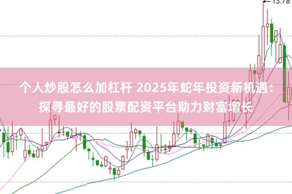 个人炒股怎么加杠杆 2025年蛇年投资新机遇：探寻最好的股票配资平台助力财富增长