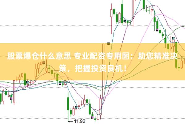 股票爆仓什么意思 专业配资专用图：助您精准决策，把握投资良机！