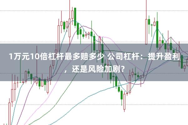 1万元10倍杠杆最多赔多少 公司杠杆：提升盈利，还是风险加剧？