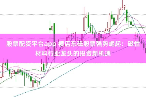 股票配资平台app 横店东磁股票强势崛起：磁性材料行业龙头的投资新机遇