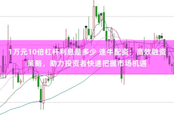 1万元10倍杠杆利息是多少 速牛配资：高效融资策略，助力投资者快速把握市场机遇