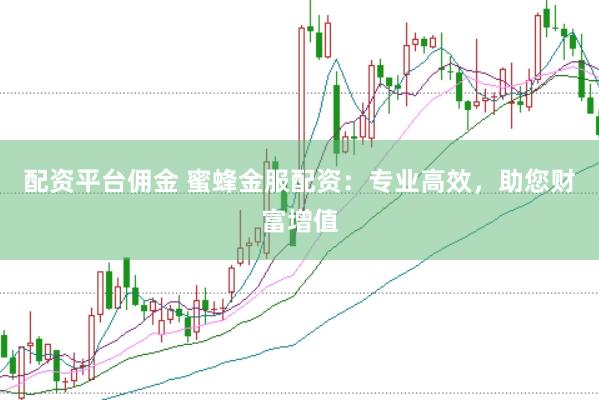 配资平台佣金 蜜蜂金服配资：专业高效，助您财富增值