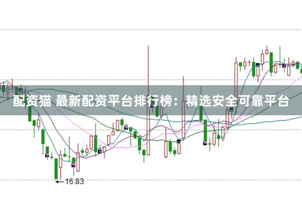 配资猫 最新配资平台排行榜：精选安全可靠平台