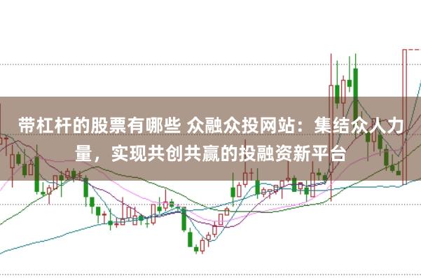 带杠杆的股票有哪些 众融众投网站：集结众人力量，实现共创共赢的投融资新平台