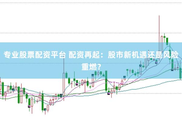 专业股票配资平台 配资再起：股市新机遇还是风险重燃？