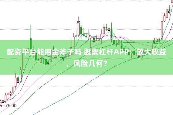 配资平台能用金斧子吗 股票杠杆APP:放大收益,风险几何?
