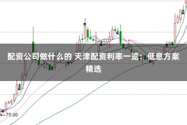 配资公司做什么的 天津配资利率一览：低息方案精选