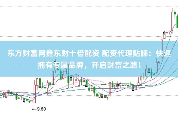 东方财富网鑫东财十倍配资 配资代理贴牌：快速拥有专属品牌，开启财富之路！