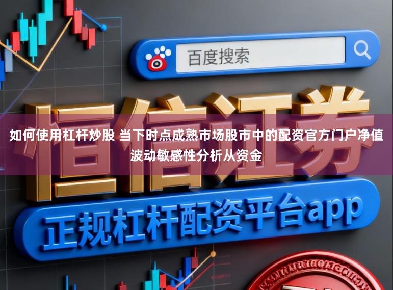 如何使用杠杆炒股 当下时点成熟市场股市中的配资官方门户净值波动敏感性分析从资金