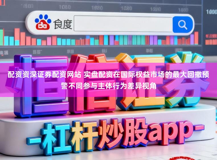 配资资深证券配资网站 实盘配资在国际权益市场的最大回撤预警不同参与主体行为差异视角