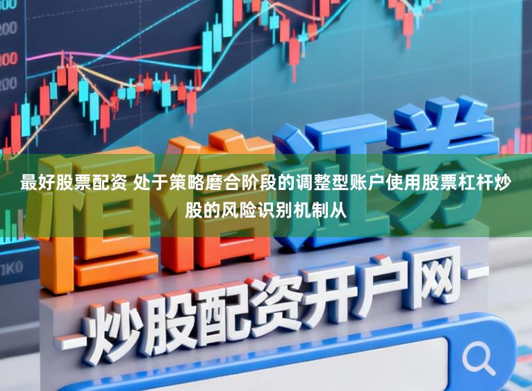 最好股票配资 处于策略磨合阶段的调整型账户使用股票杠杆炒股的风险识别机制从