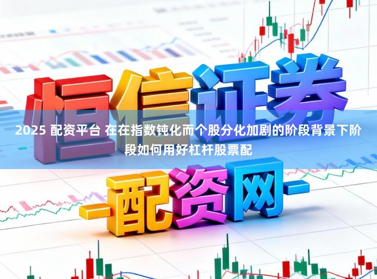 2025 配资平台 在在指数钝化而个股分化加剧的阶段背景下阶段如何用好杠杆股票配
