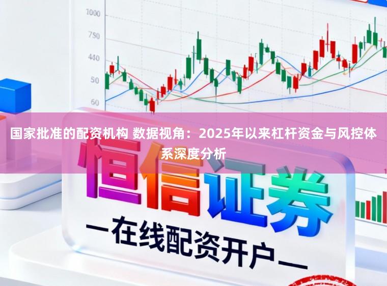 国家批准的配资机构 数据视角：2025年以来杠杆资金与风控体系深度分析